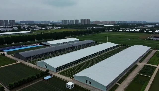 美育教育中实时互动工具的创意应用与维护策略