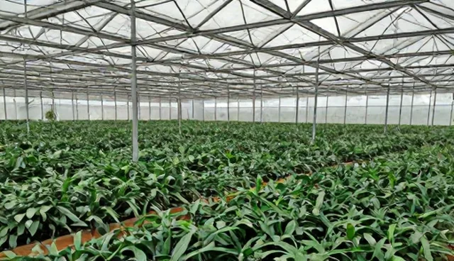 宣传片制作中误区分析及业务性能优化建议